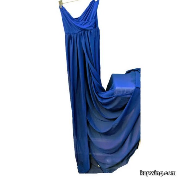 Strapless Royal Blue Sheer Long Maxi Length Dress Overlay Cover Up - Picture 2 of 11